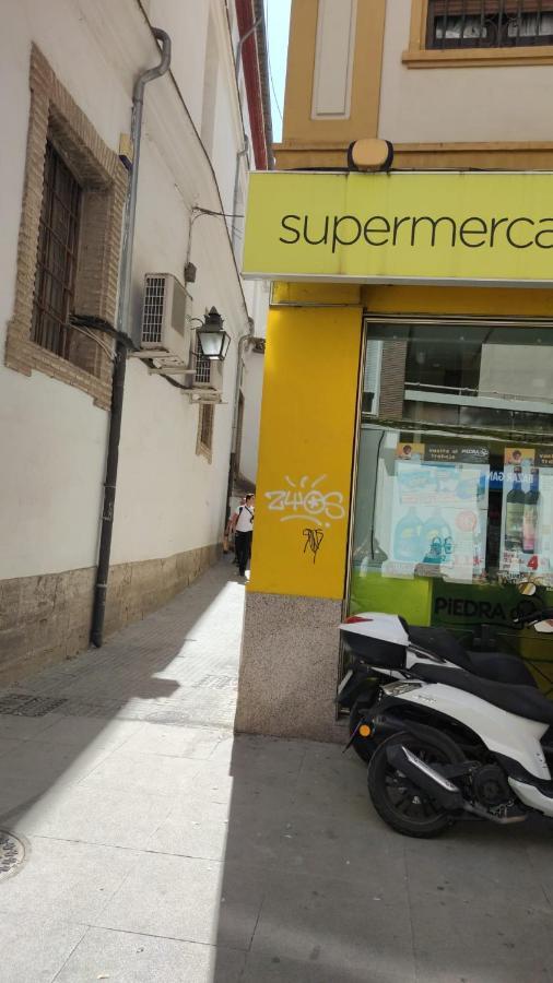 Apartamento Cool La Compañía